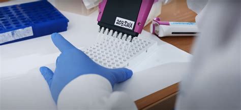 Your Guide To Efficient Hot Runner Injection Molding Tdl