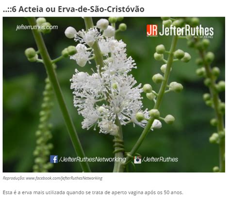 Maneiras Simples E Naturais Para Manter A Vagina Apertada E Pequena Dias De Luta Dias De Gl Ria