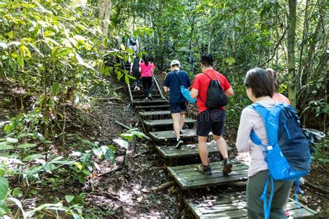 Tourists Walking On Wooden Broadwalk Trail At Natural And Scenic Taman