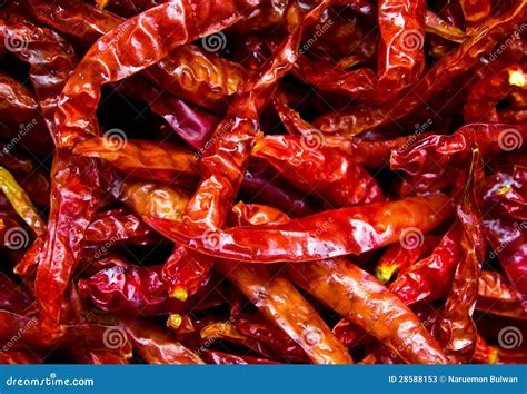 Сухой перец красного chili стоковое изображение. изображение ...