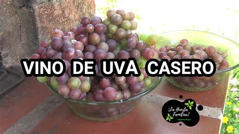 Como Hacer Vino De Uva Casero Muy F Cil Paso A Paso Youtube