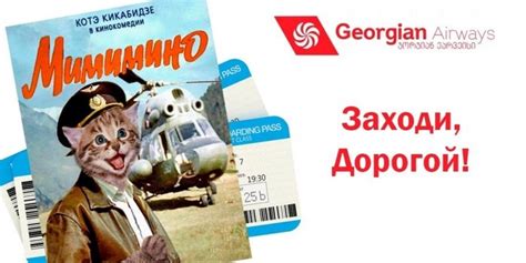 Всегда котов! | Пикабу