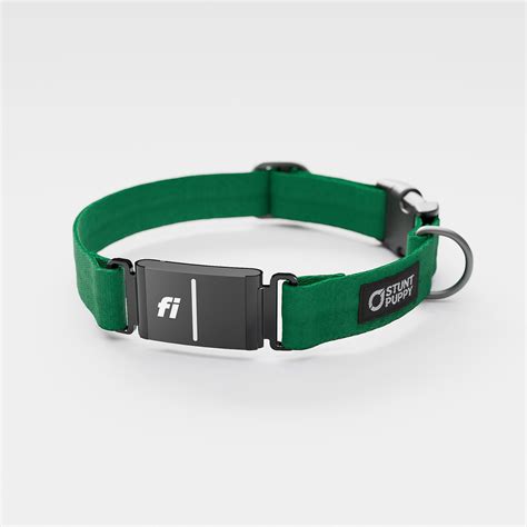 Fi Compatible Pixie Brown Teal Pattern Collar | Dog Collar – Stunt Puppy