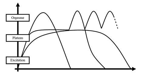 Les 4 Phases De La Réponse Sexuelle Ce Quil Faut Savoir