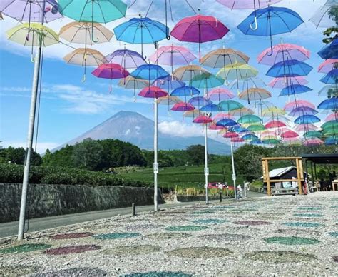 【富士市】春のこの時期にしか見ることのできない人気の絶景スポットへ行ってみよう！イベントもあります！ | 号外NET 富士市・富士宮市