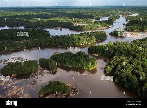 Aerial View Of Essequibo River Guyana South America Stock Photo Alamy