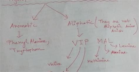 Huge Medical Mnemonics Hydrophobic Amino Acids Mnemonic