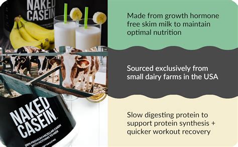 Amazon Naked Casein Lb Micellar Casein Protein Powder From Us Farms Bulk Gmo