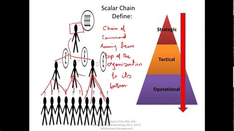 Fababf1 Acca Scalar Chain And Span Of Control Youtube