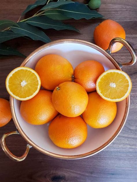 How To Dry Orange Slices For Holiday Decorations Oven Or Dehydrator ~ Homestead And Chill