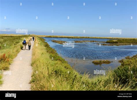 Titchwell Rspb Bird Reserve Summer Hi Res Stock Photography And Images