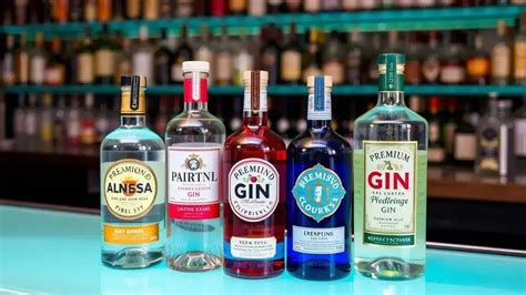 Marcas De Gin Boas E Baratas - Melhor Gin: os melhores em 2025
