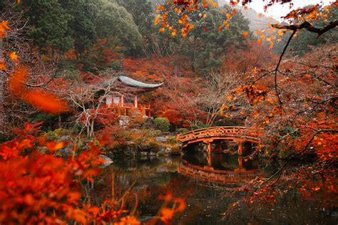 autumn  kyoto  spots   autumn leaves