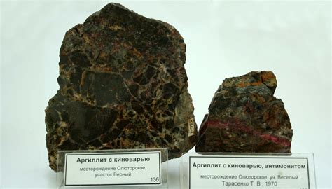 Аргиллит камень (68 фото)