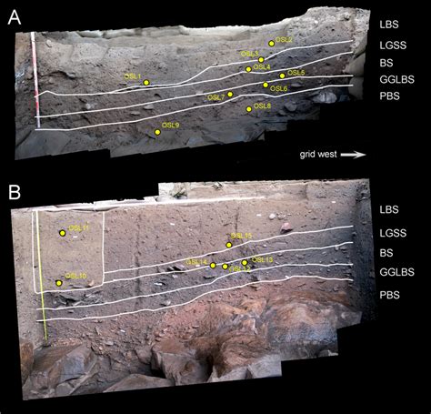 A Trench South Section And Osl Sampling Locations Prior To