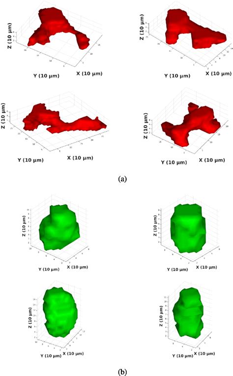 3d Rendered Examples Of A Lack Of Fusion Pores And B Keyhole Pores Download Scientific