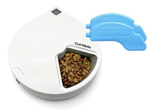 5 Best Automatic Cat Feeders Cat Feeding Made Simple