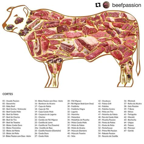O Boi Tem Quantas Picanhas - Todo mundo gosta de uma picanha, ou uma costela... mas do boi podemos ...