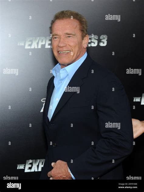 Arnold Schwarzenegger Expendables 3