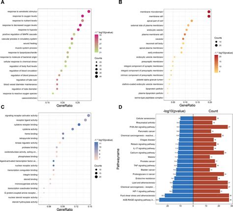 Frontiers Elucidating The Anti Hypertensive Mechanisms Of Uncaria