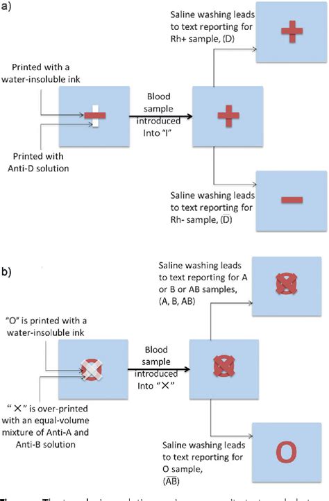 Blood typing procedure | Semantic Scholar