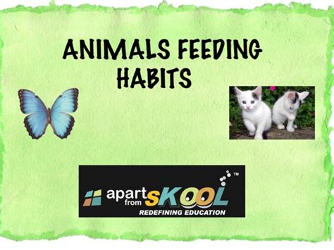 Animals Feeding Habits Free Games online for kids in Kindergarten by ...