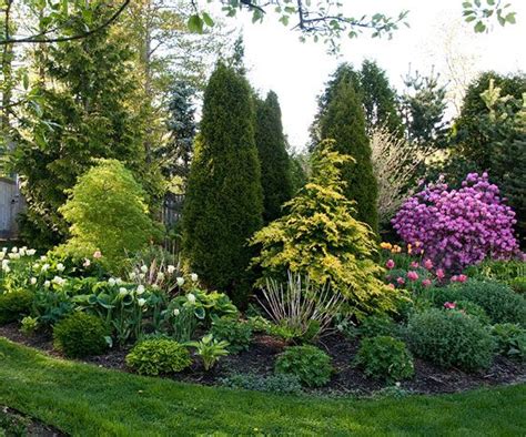 landscaping  shrubs bringing shape  color   garden