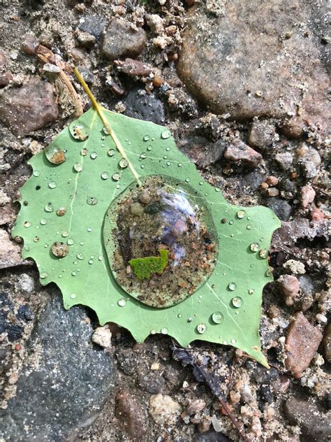 What Is Sustainable Living? - The Eco Hub