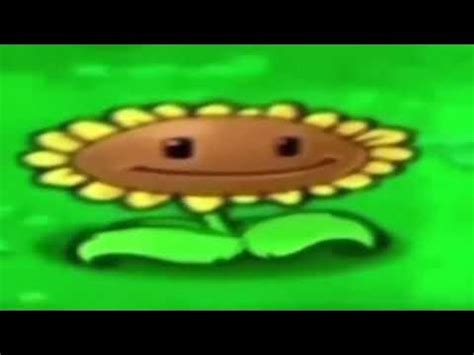 Подсолнух танцует мод милую музыку - YouTube