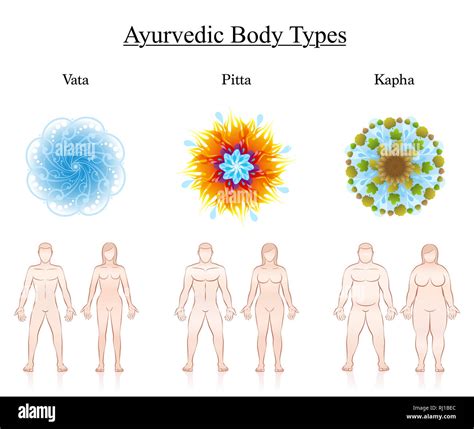 Body Constitution Types Ayurvedic Dosha Symbols Vata Pitta Kapha