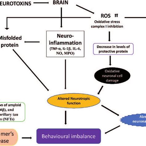 Molecular Mechanisms Underlying Pathogenesis Of Parkinson S Disease And