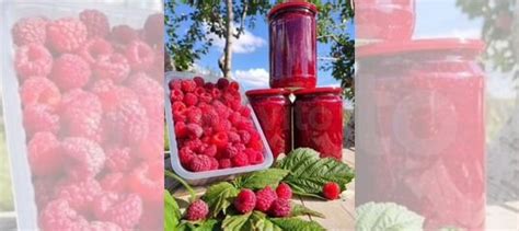 Малиновое варенье купить в Санкт-Петербурге | Товары для дома и дачи ...