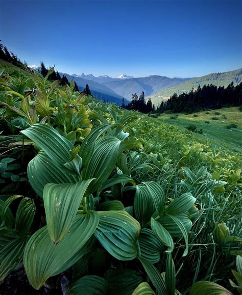 Best British Columbia Images On Pholder Earth Porn Most Beautiful And Cabin Porn