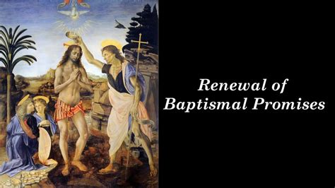 Renewal Of Baptismal Promises Youtube