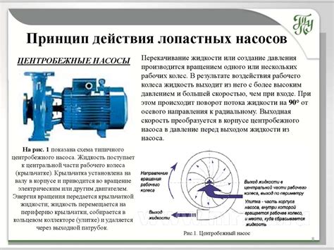 Лопастные насосы - online presentation