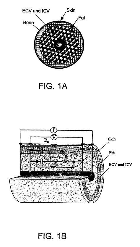 Bioimpedance methods and apparatus - Eureka | Patsnap