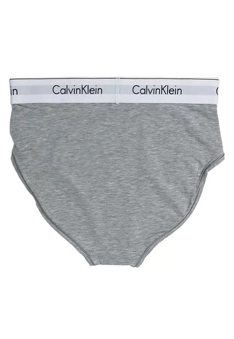 Buy Calvin Klein High Waist Bikini Brief Calvin Klein Underwear Online ZALORA Malaysia