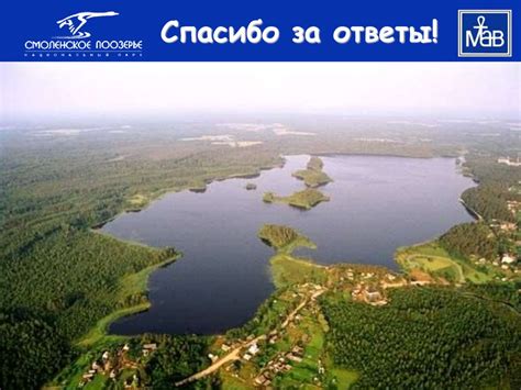 О зубрах и Н.М. Пржевальском - презентация онлайн