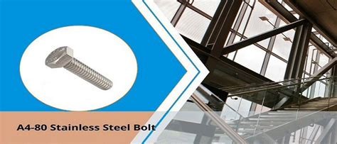 A4-80 Stainless Steel Bolt
