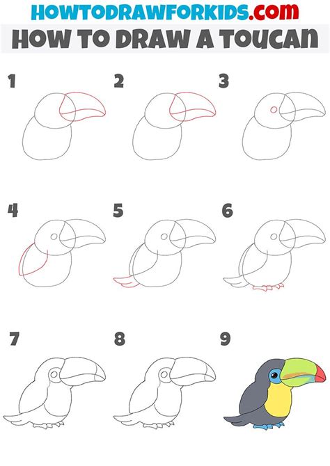 How To Draw A Toucan Step By Step