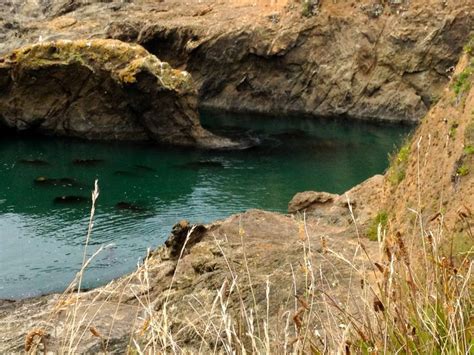 Hiking along the coast south of Fort Bragg | California coast, Fort ...