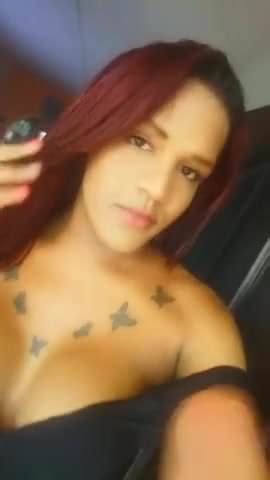Gata Trans Colombiana Shemale Lingerie Porn Video XHamster