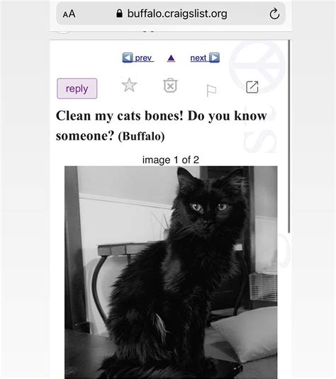 Woman Gets Sweet ‘Craigslist’ Revenge On Cheating Husband