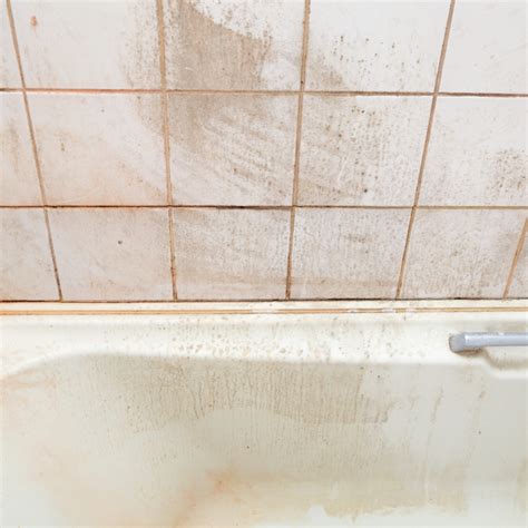 How to Repair Loose Shower Tiles and Prevent Future Damage - Shower ...