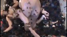 Femboyish Gay Porn Videos Hd Scene Trailers Pornhub