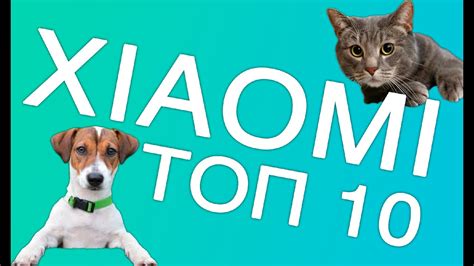 ТОП 10 товаров Xiaomi для животных - YouTube