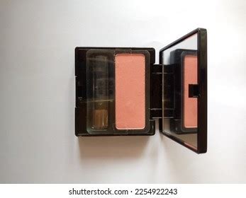 Beautiful Nude Pink Color Makeup Brush Stock Photo