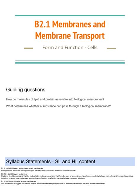 B2.1 Membranes and Membrane Transport (SL - HL) | PDF | Cell Membrane ... 