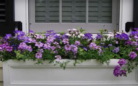 Garden Window Ideas Gardenprofy