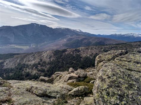 Perdiguera De Burgos 4